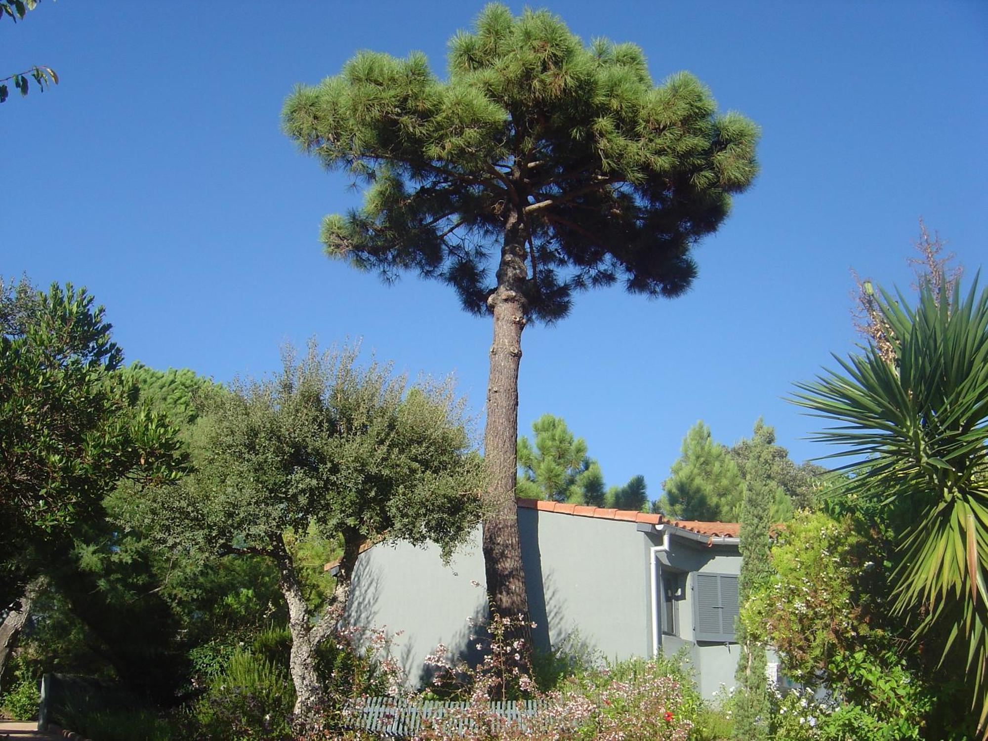 Residence Blue Marine Porto-Vecchio  Exterior photo